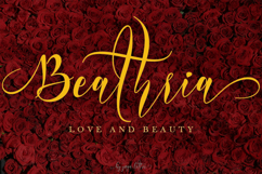 Beautiful Special Bundle Product Image 8