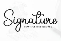 Beautiful Collection Product Image 3