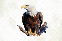 Beautiful Eagle Watercolor Sublimation Clipart Product Image 4