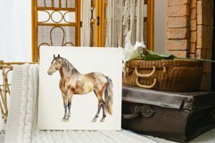 Horses watercolour clipart Product Image 7