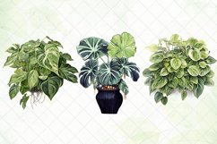 Beautiful Houseplants Watercolor Sublimation Clipart Product Image 2