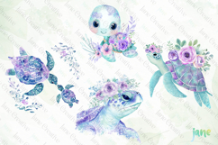 Beautiful Sea Turtles Clipart Product Image 1
