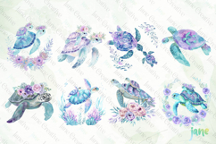 Beautiful Sea Turtles PNG Bundle Clipart Product Image 8