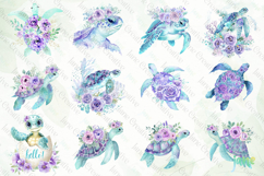Beautiful Sea Turtles PNG Bundle Clipart Product Image 2