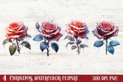 Beautiful Winter Roses Clipart, Christmas Rose Clipart Product Image 1