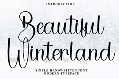 Beautiful Winterland Product Image 1