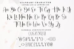 Beautiful Winterland Product Image 7