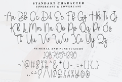 Beautiful Product Image 5