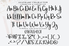 Beauty Calligraphy Product Image 3