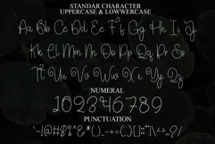 Beauty Wonderful Product Image 2