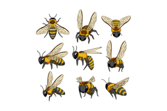 Cute cartoon bees flying and buzzing illustration pack Product Image 1