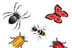 beetles and insects vector illustration Product Image 2