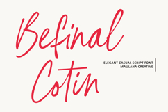 Befinal Cotin Elegant Casual Script Font Product Image 1