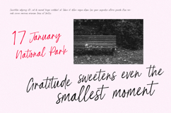 Befinal Cotin Elegant Casual Script Font Product Image 3