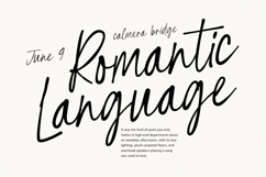 Befinal Cotin Elegant Casual Script Font Product Image 7