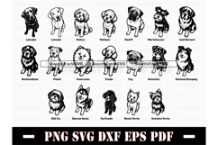51 Begging Dogs Mega Bundle SVG PNG DXF EPS PDF Product Image 2
