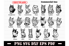 41 Begging Cats Mega Bundle SVG PNG DXF EPS PDF Product Image 2