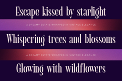 Begosta - Modern Display Font Product Image 4