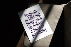 Begosta - Modern Display Font Product Image 8