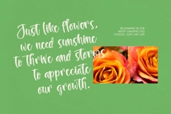 Behavior Goldway - Bold Handwritten Font Product Image 18