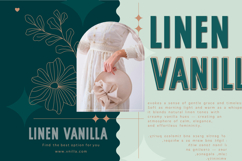 Behenley Condensed Sans Serif Font Product Image 5