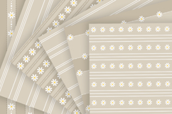 Beige daisy seamless pattern png Daisy stripes digital paper Product Image 3