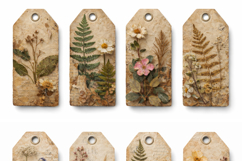 Vintage Botanical Paper Pack, Herbarium Ephemera Product Image 3