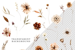 beige brown fall floral clipart watercolor neutral flowers png bouquets autumn