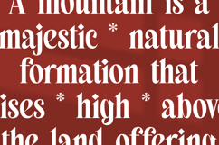 Belagu - Modern Display Serif Font Product Image 5