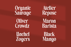Belagu - Modern Display Serif Font Product Image 7