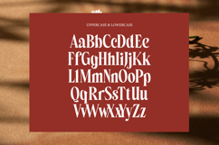 Belagu - Modern Display Serif Font Product Image 12