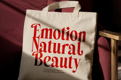 Belagu - Modern Display Serif Font Product Image 13