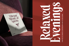 Belagu - Modern Display Serif Font Product Image 15