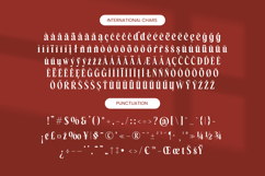 Belagu - Modern Display Serif Font Product Image 19