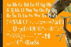 Belasfa Cantter - Modern Serif Font Product Image 19