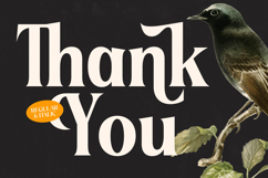 Belasfa Cantter - Modern Serif Font Product Image 20