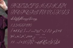 Belanita Natural - Stylish Beauty Script Font Product Image 18