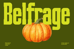 Belfrage - Slab Serif Font Product Image 1
