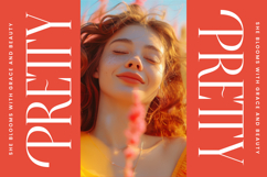 Belhinco - Display Serif Font Product Image 3