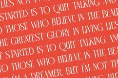 Belhinco - Display Serif Font Product Image 17