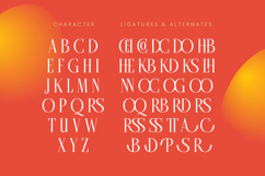 Belhinco - Display Serif Font Product Image 18