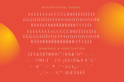 Belhinco - Display Serif Font Product Image 19