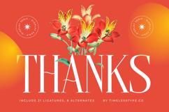 Belhinco - Display Serif Font Product Image 20