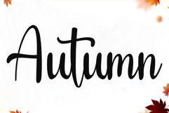 Belinda Signature Product Image 2