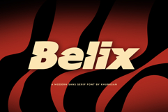 Belix Product Image 1