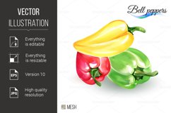 Bell Peppers Product Image 1