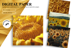 Sunflower Background Wallpaper Digital Paper Wall Art_70 Product Image 1