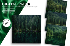Snow Forest Background Christmas Pine Tree Wallpaper_20 Product Image 1