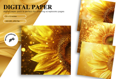 Sunflower Background Wallpaper Digital Paper Wall Art_21 Product Image 1