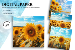 Sunflower Background Wallpaper Digital Paper Wall Art_57 Product Image 1